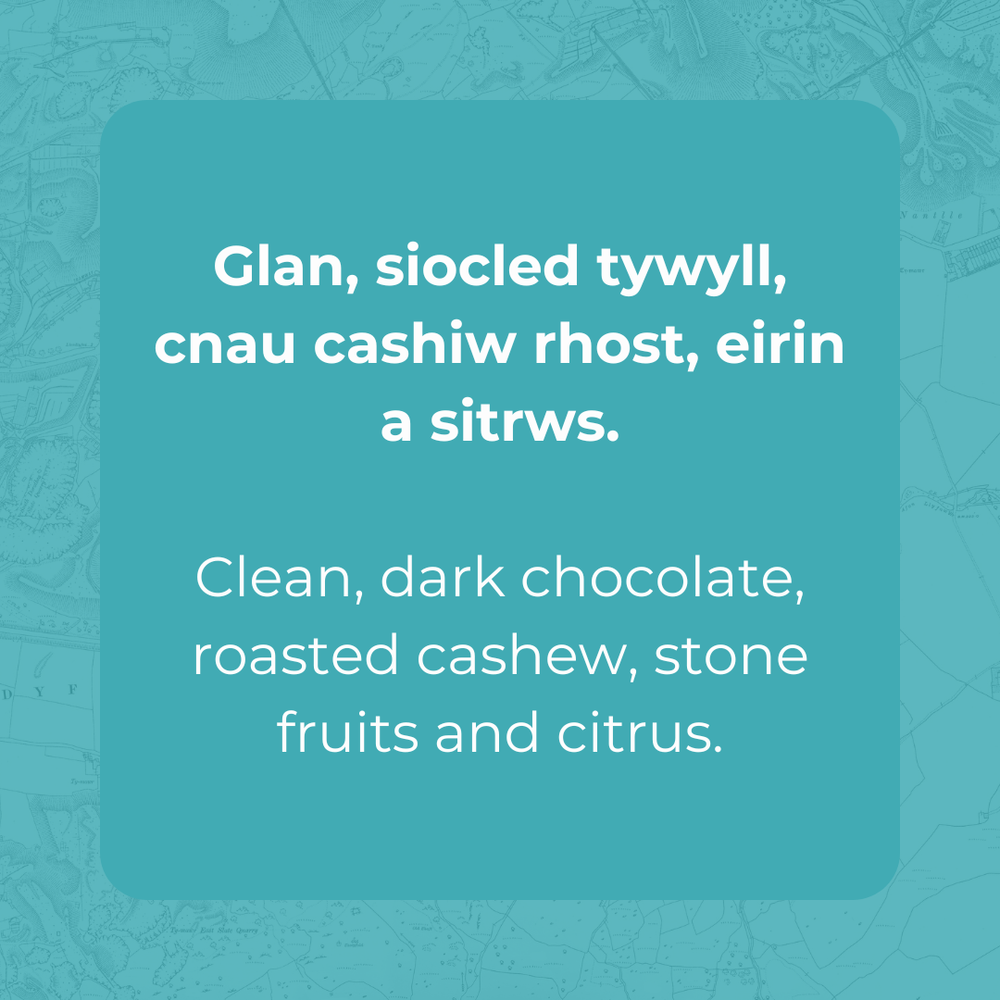 El Salvador - El Borbollon