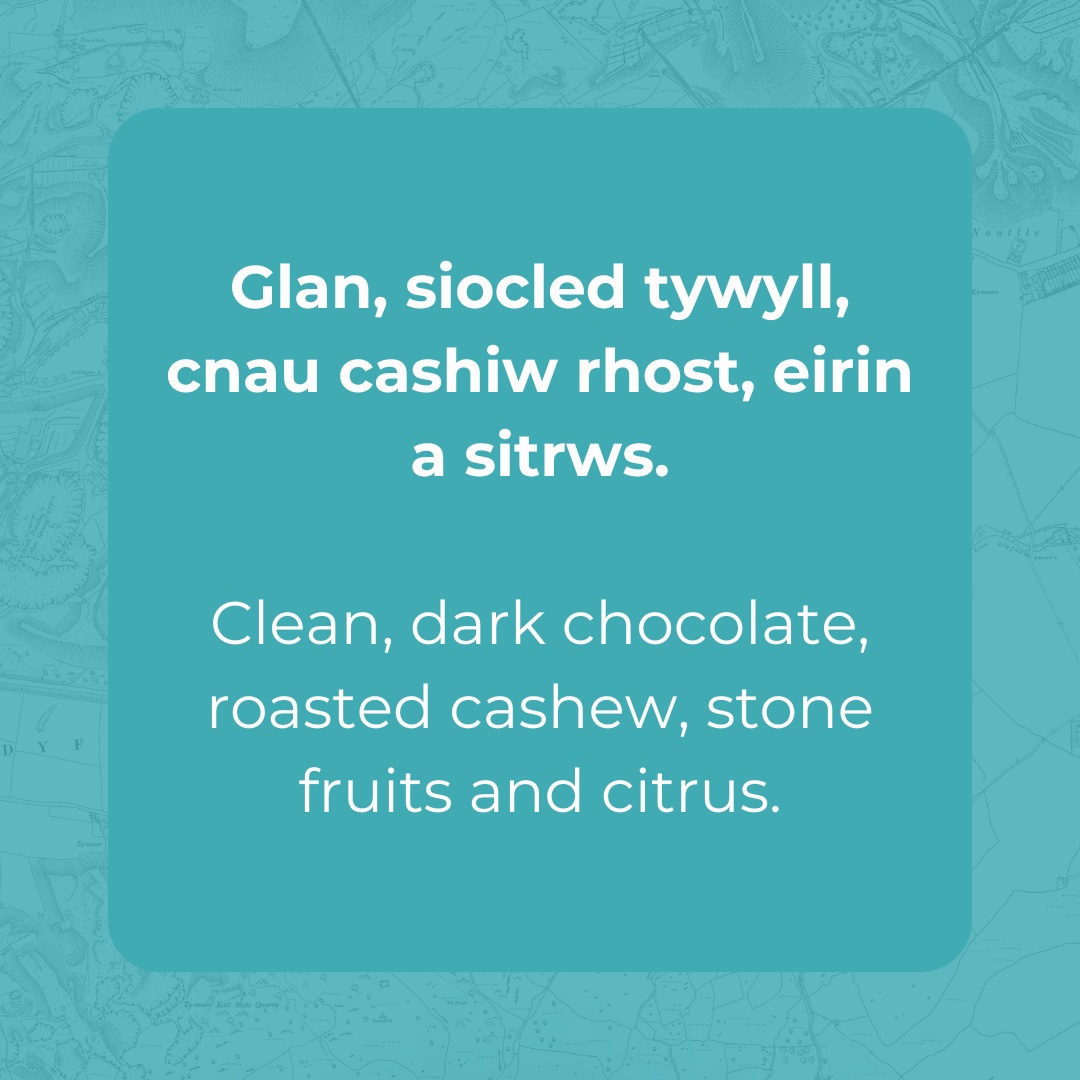 El Salvador - El Borbollon