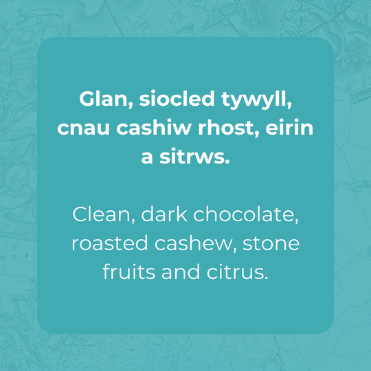 El Salvador - El Borbollon