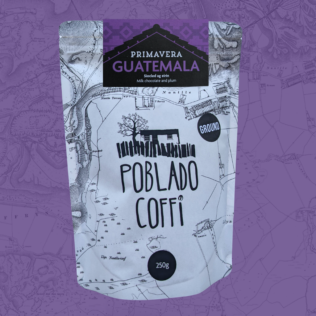Photo of Guatemala Primavera Family