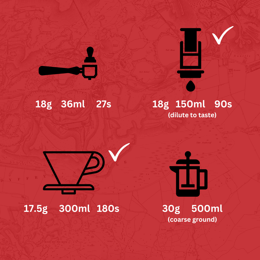 Kenya Priory Farm Peaberry