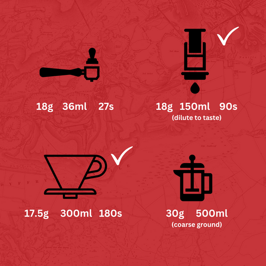 Kenya Priory Farm Peaberry