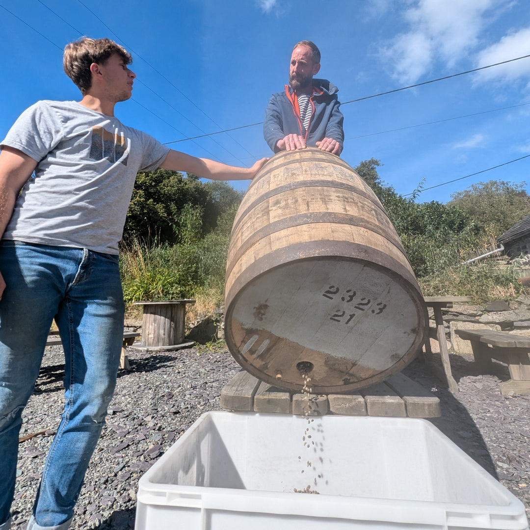 Whisky Process - El Borbollon X Penderyn Distillery