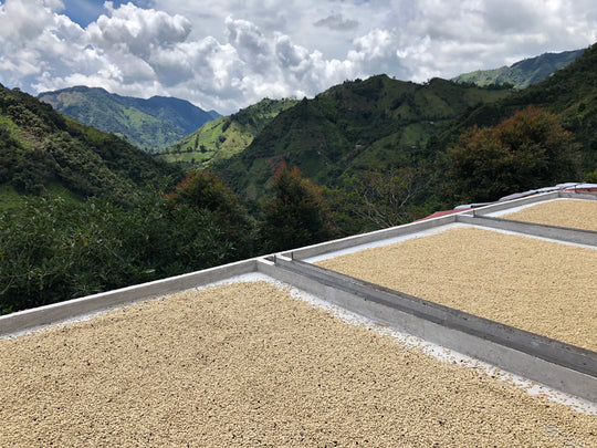 Colombia - Magdalena